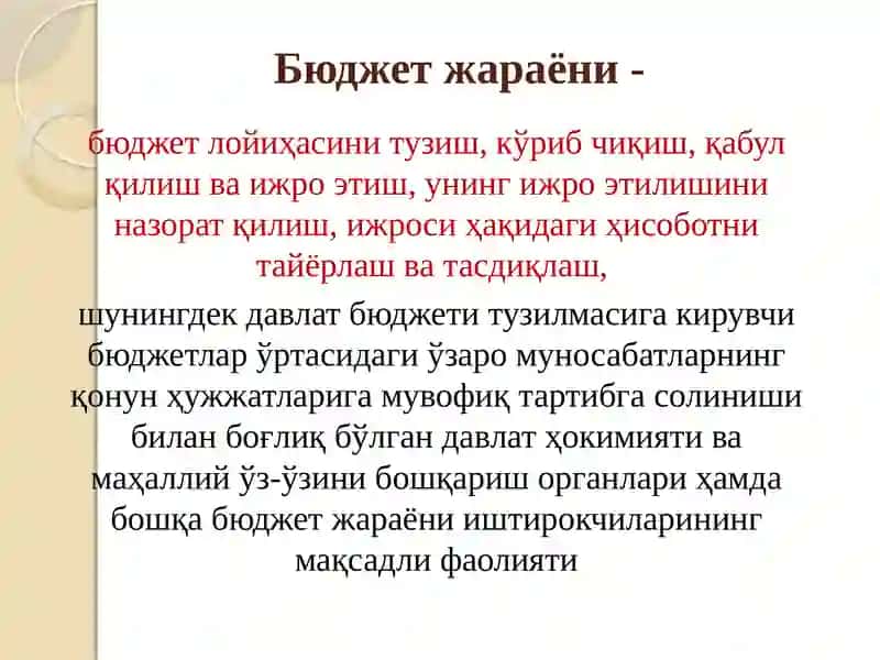 Davlat budjeti jarayoni 3