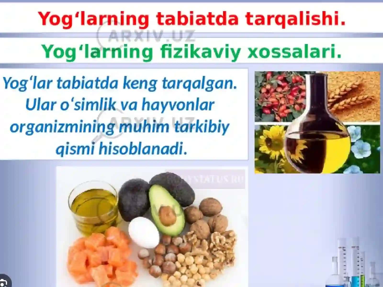 Yogʻlarning biologik roli va asosiy manbalari tibbiyot mu 3