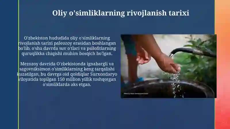 Oliy o'simliklarning rivojlanish tarixi 3
