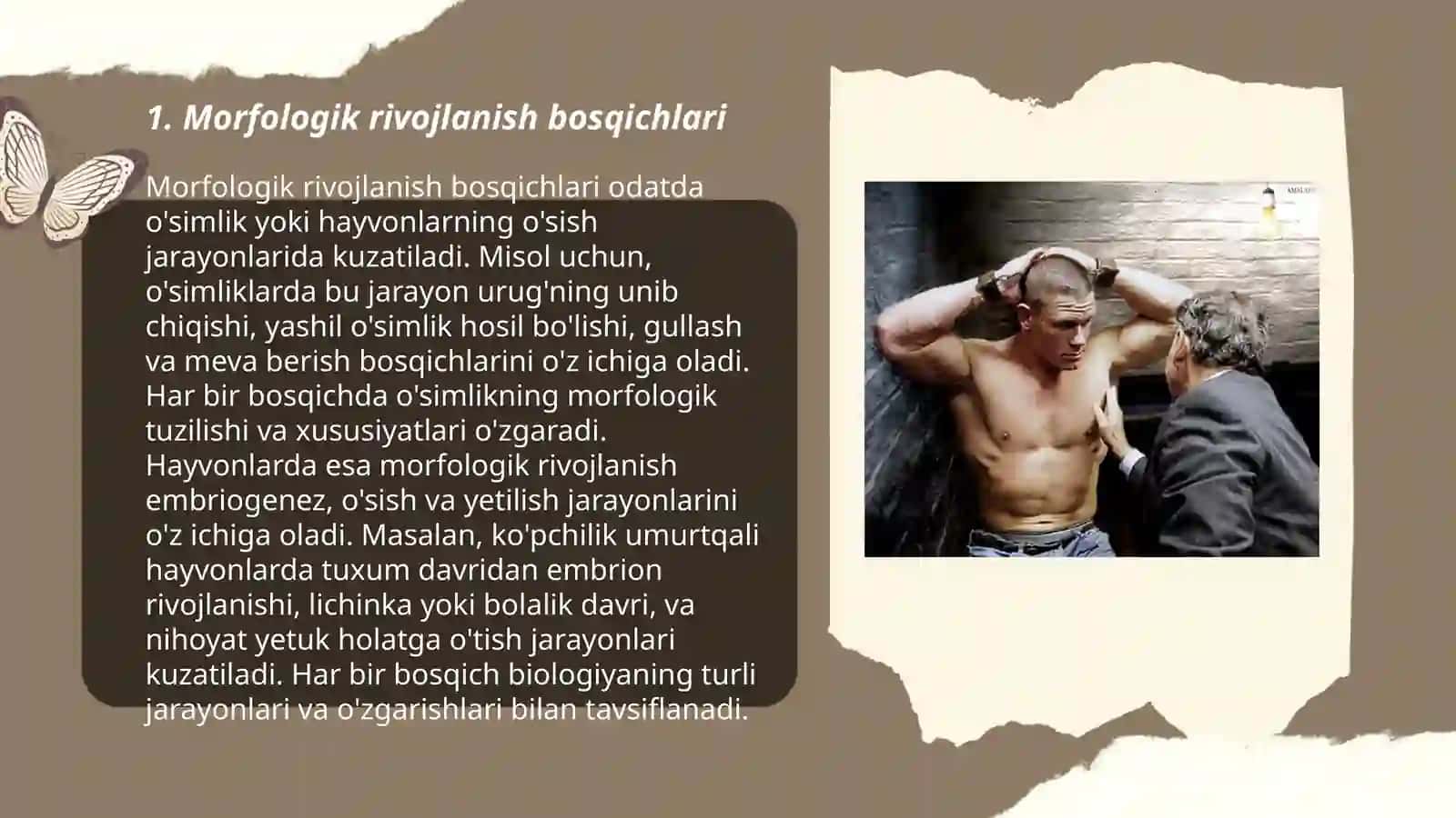 Õpkaning morfologik rivojlanishi va strukturaviy buzilishlar 3
