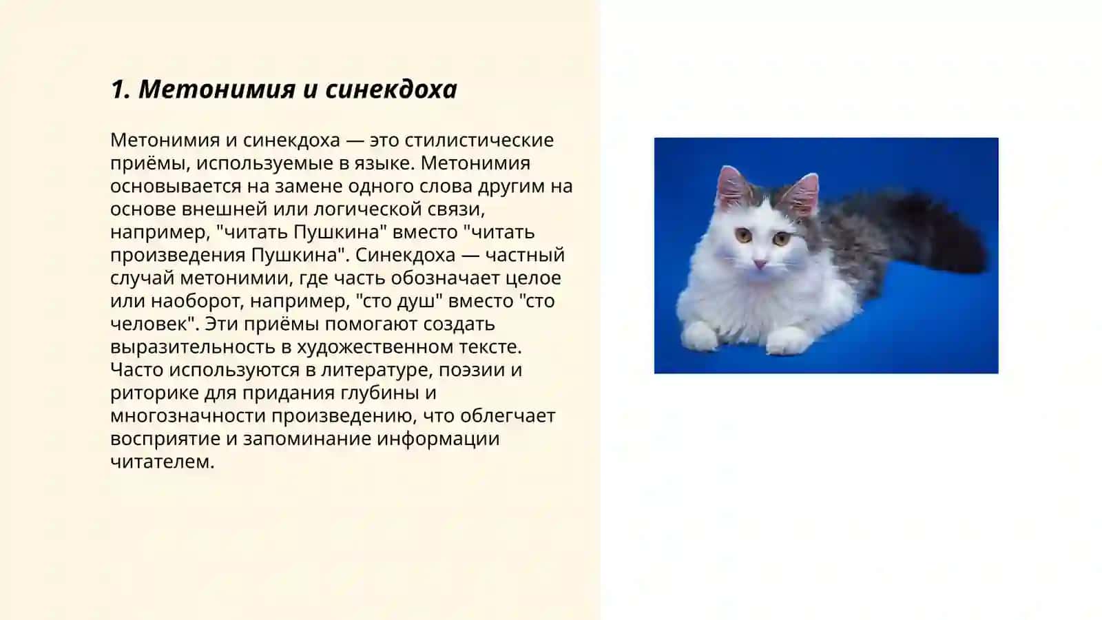 Выразительные средства и стилистическая норма.Обнаружение и устранение ошибок, связанных с неуместным употреблением выразительных средств 3