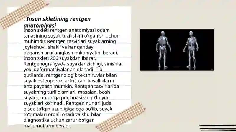 Inson skletining rentgen anatomiyasi 3