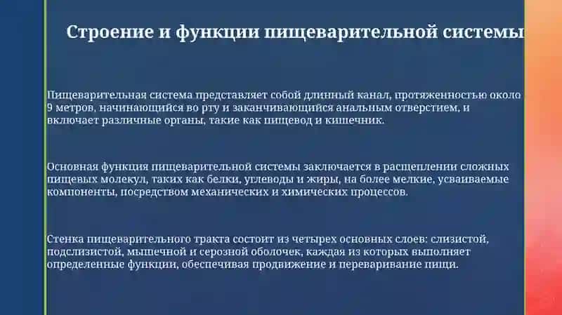 ПРЕЗЕНТАЦИЯ Тема: Система пищеварения 3