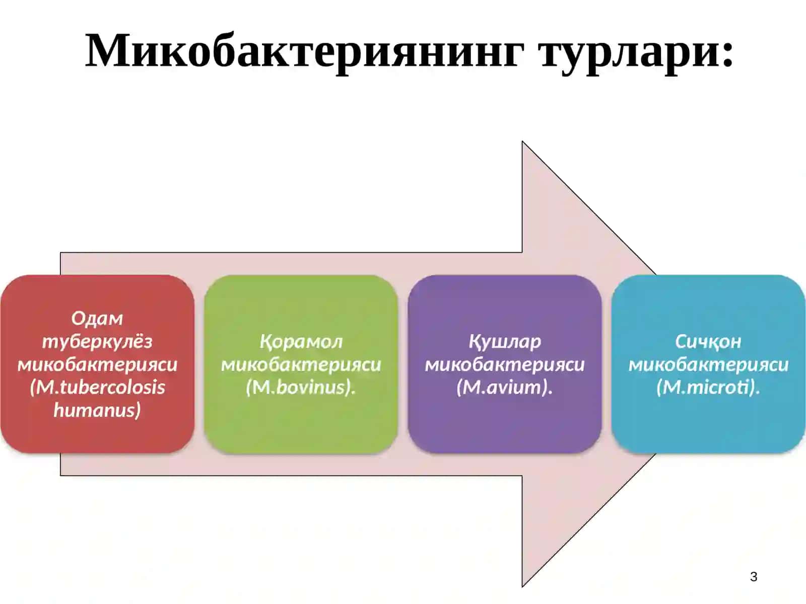 Silmikobakteriyasi 3
