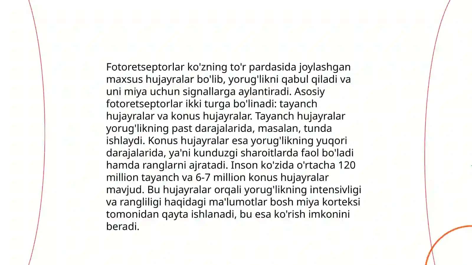 Fotoretsepsiya hujayralarining tuzilishi 3