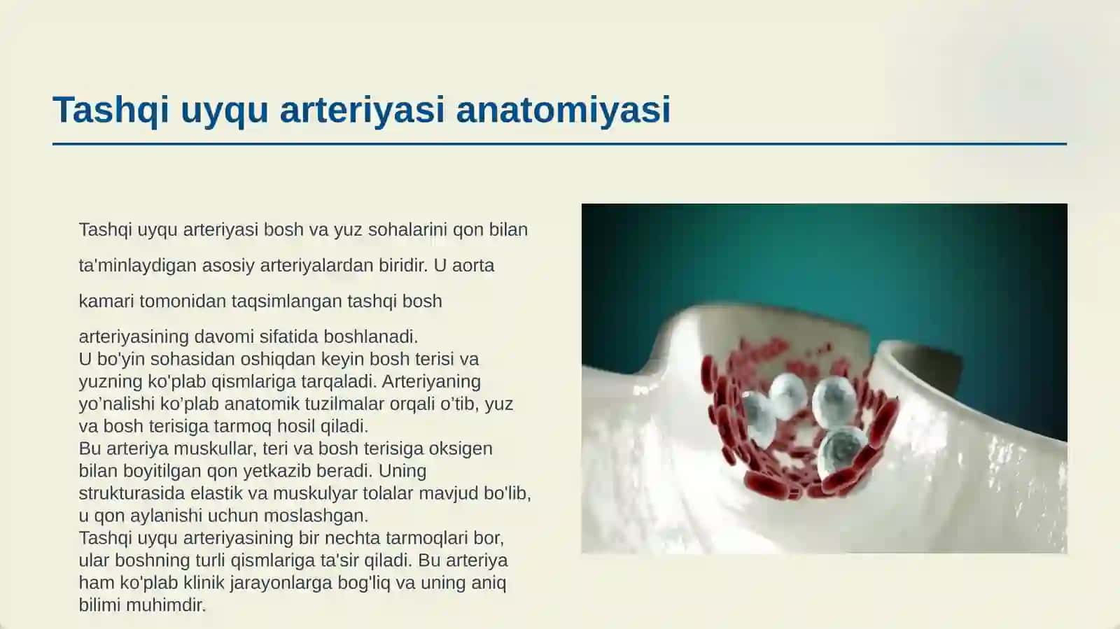TASHQI UYQU ARTERIYASI 3