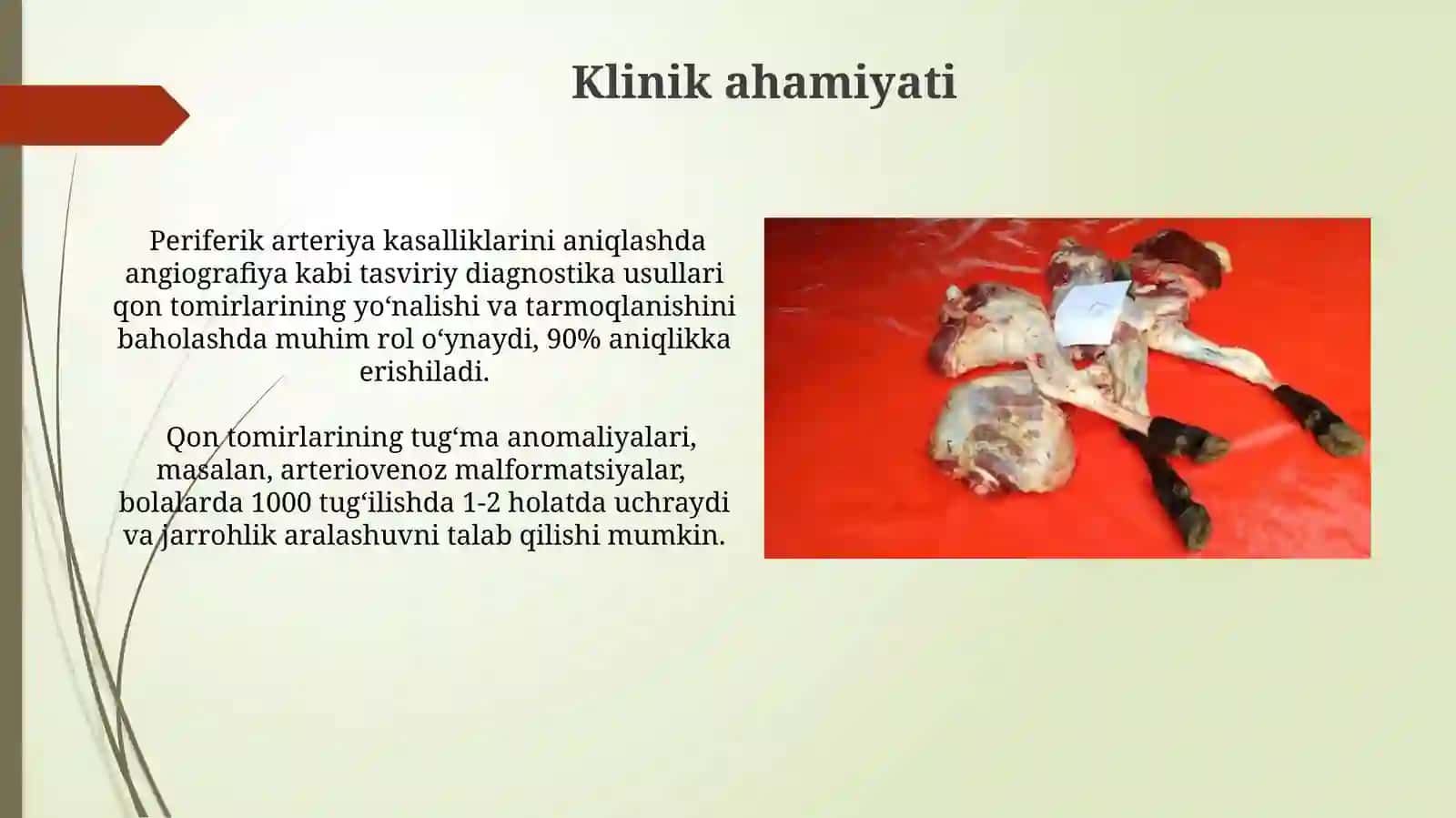 Qon tomirlarning yo’nalishi va tarmoqlanish qonuniyati hayvonlarda 3