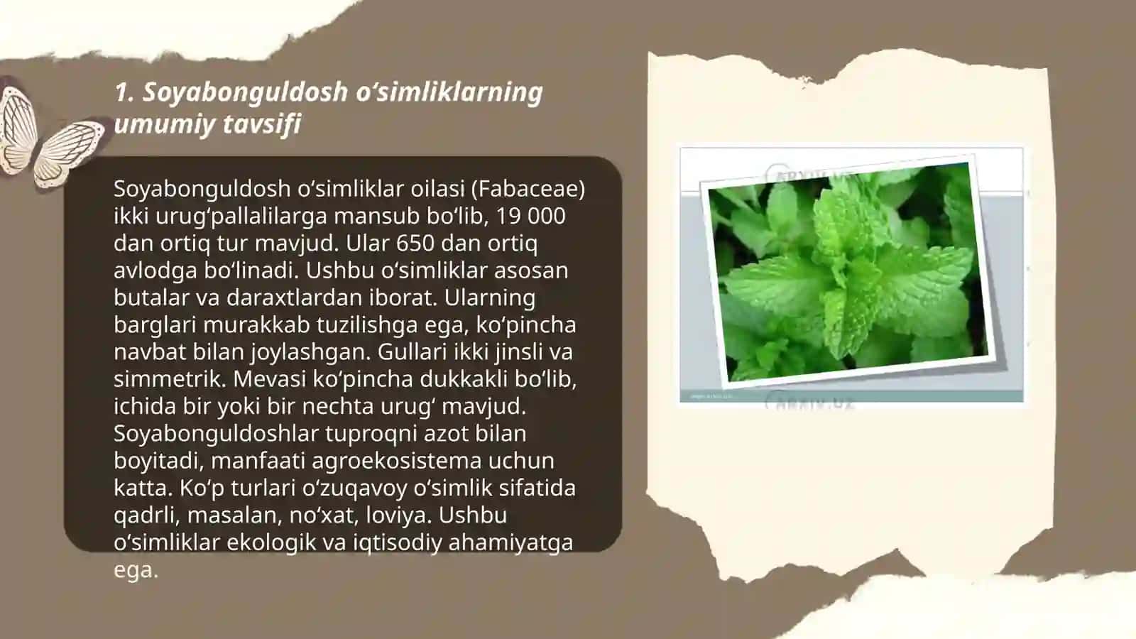 Kam tarqalgan soyabonguldosh oʻsimliklarining botanik oilasi 3
