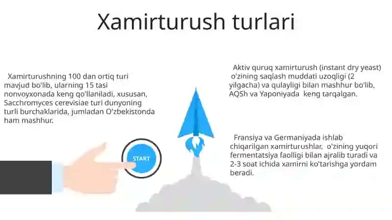 Xamirturush 3