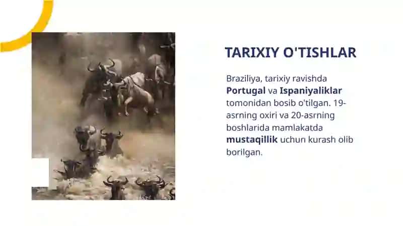 BRAZILIYA DAVLATI: TUNIKADA XALQARO YO'NALISHLAR VA MUSTAQILLIKNING ASOSIY OMILI 3