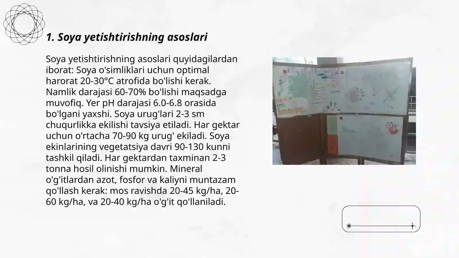 Soya yetishtirishning asoslari 3