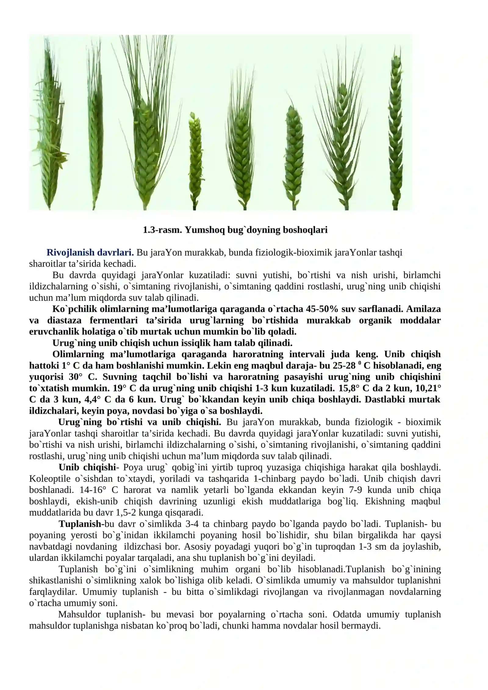 BUG`DOY- AHAMIYATI, BIOLOGIYASI VA YETISHTIRISH TEXNOLOGIYASI 3