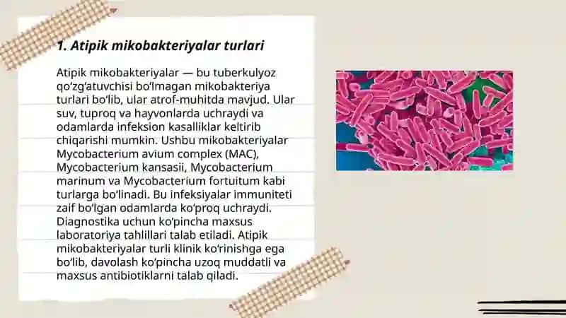 Atipik mikobakteriyalar va ularni amaliyotdagi ahamiyati 3