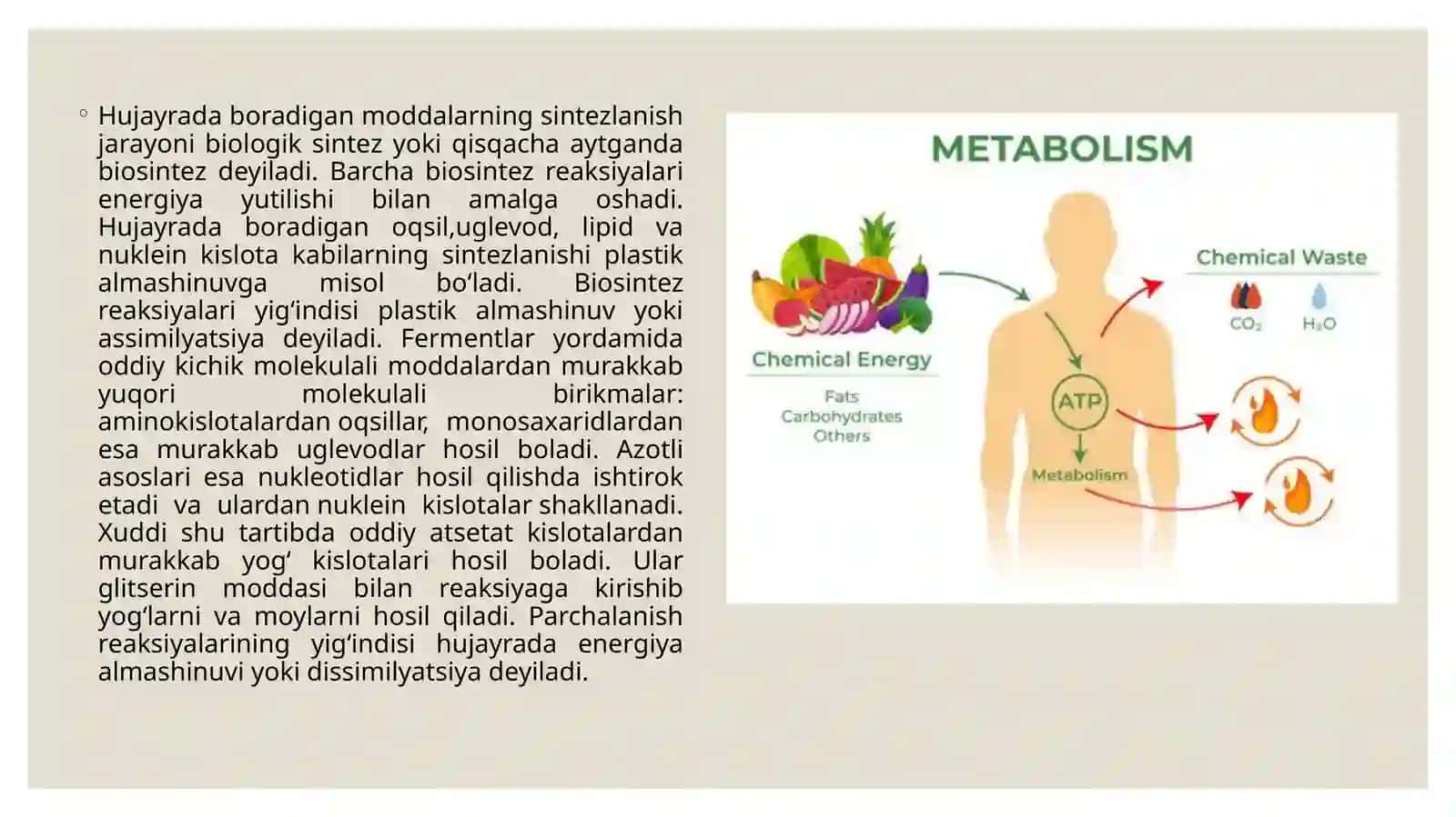 Jismoniy yuklama vaqtida metabolizmda ro'y beradigan o'zgarishlar 3