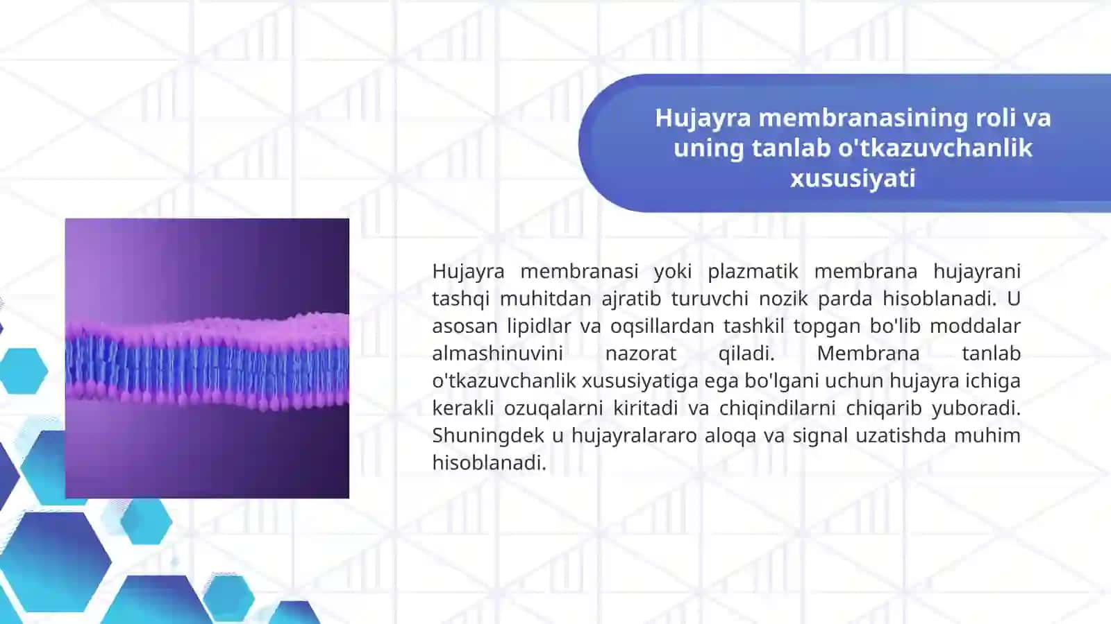 Hujayra va uning tarkibiy qismlari haqida to'liq texnik tahlil 3