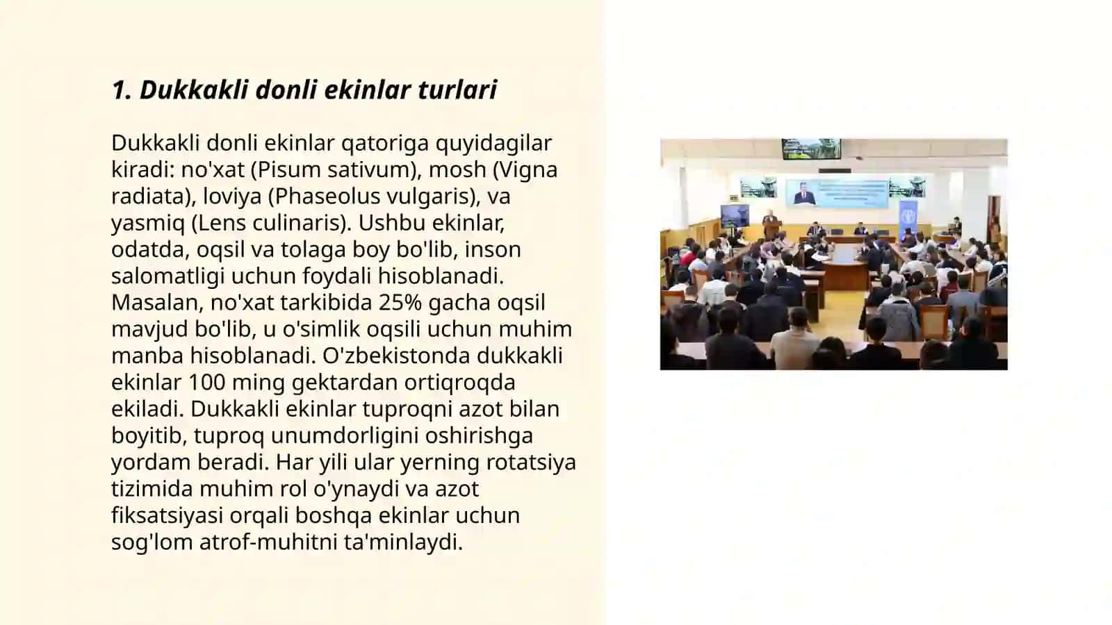 Dukkakli donli ekinlar 3