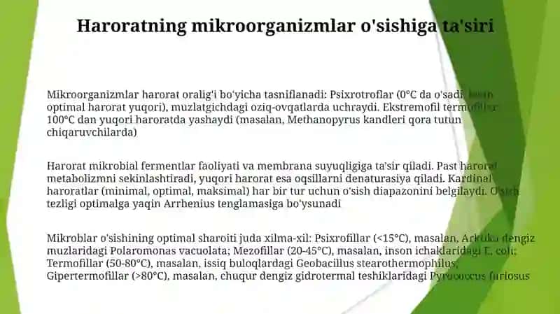 Mikroorganizmlarni guruhlarga bo'linishi 3