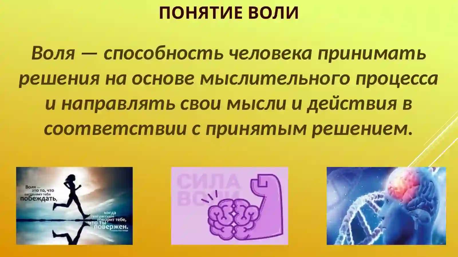ВОЛЯ.ЭМОЦИИ.ИНТЕЛЛЕКТ 3