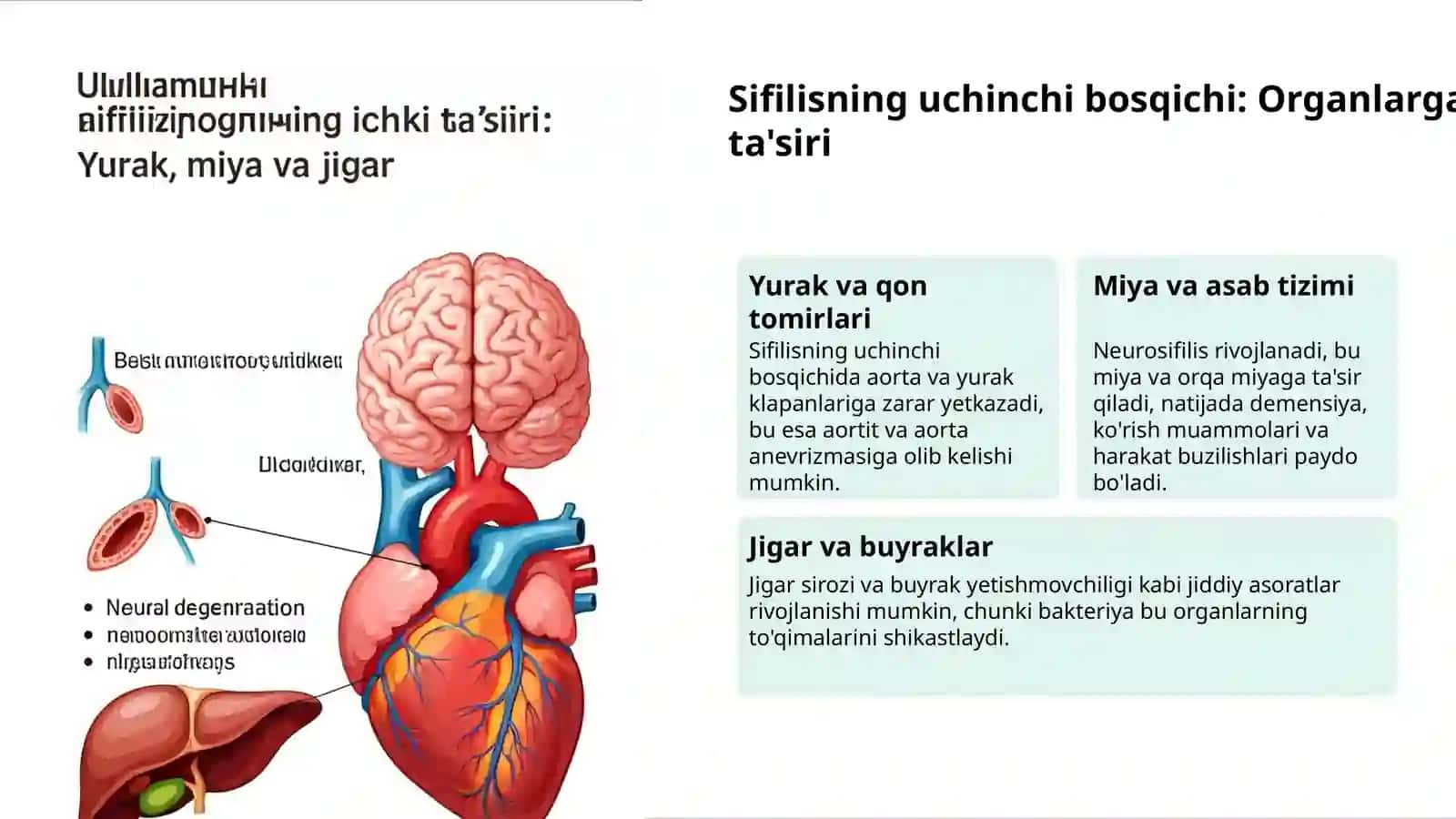 Teri va shilliq qavat kasalliklari: sifilis va OIV 3