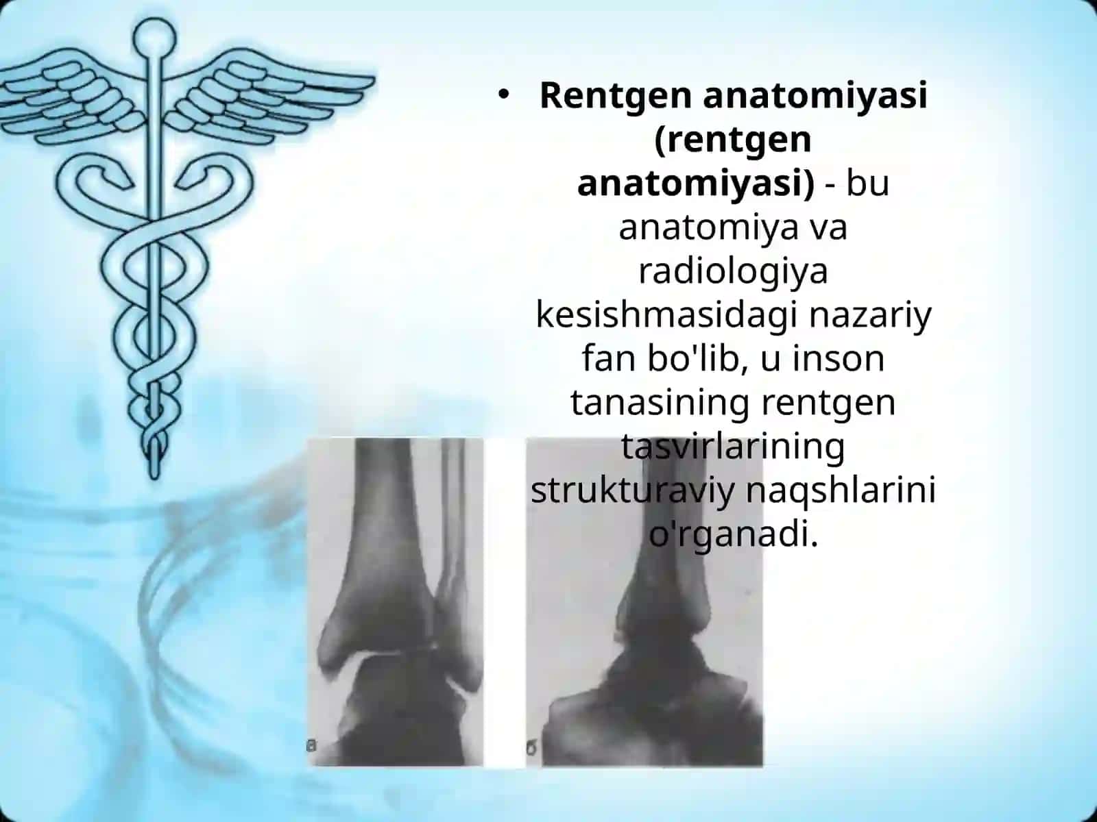 Oyoq panjasi suyaklarining rentgenoanatomiyasi 3