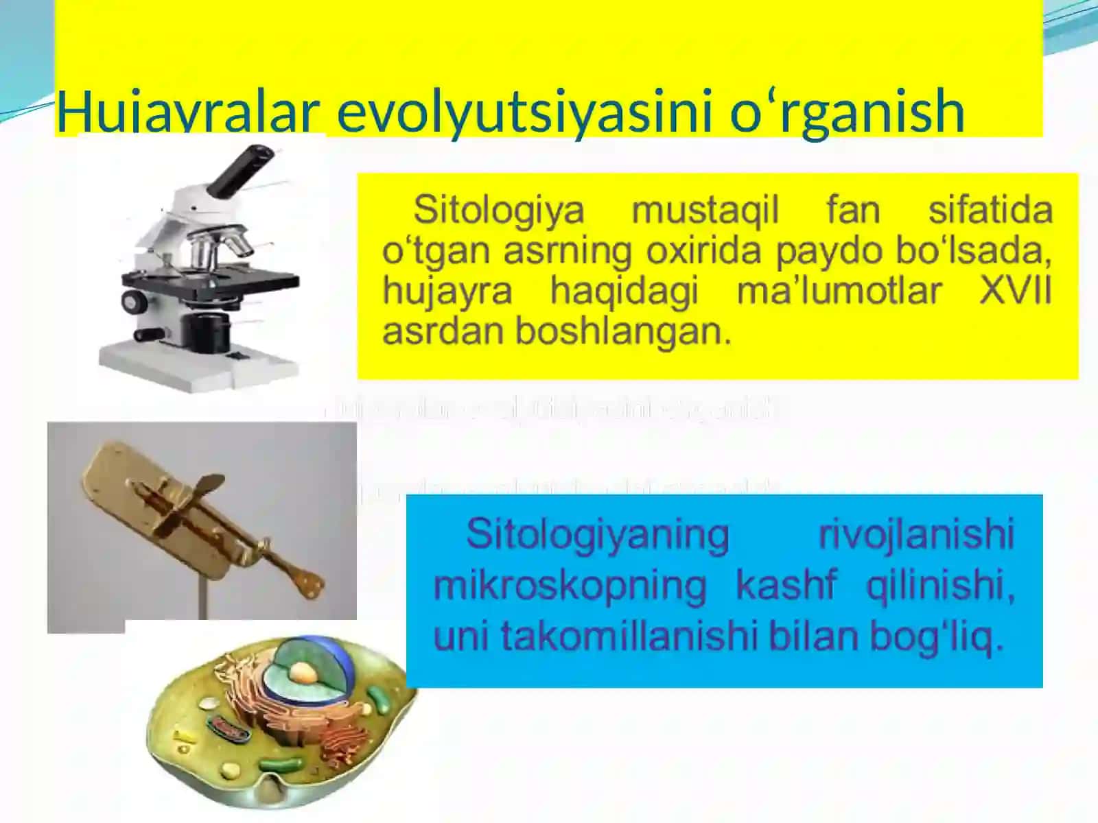 Hujayrani o‘rganishtaruixi va hujayra nazariyasi 3