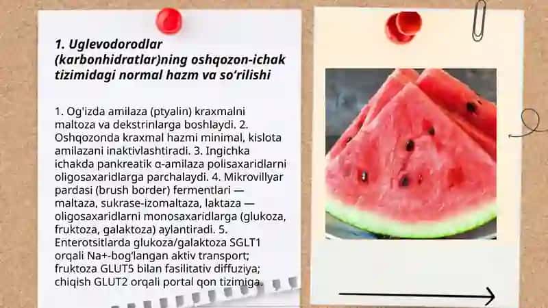 Uglevodorodlarni hazmlanishi va surulish jarayonlarini buzilishi 3