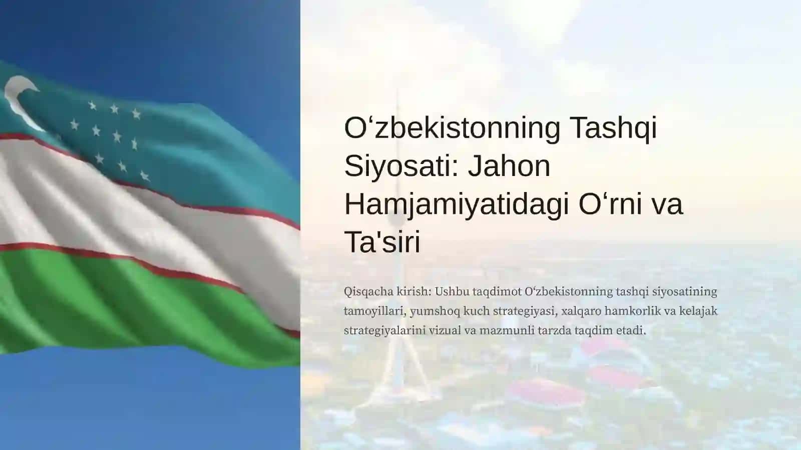 Tashqi ta'sirlarni yumshatish bo'yicha davlat siyosati 3