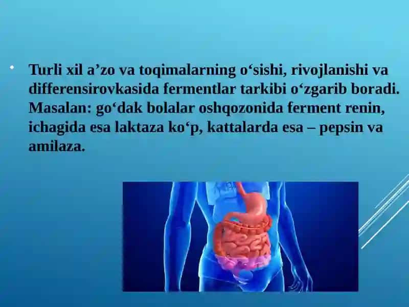 Fermentlarning inson organizmidagi oʻrni va tibbiyotdagi ahamiyati 3
