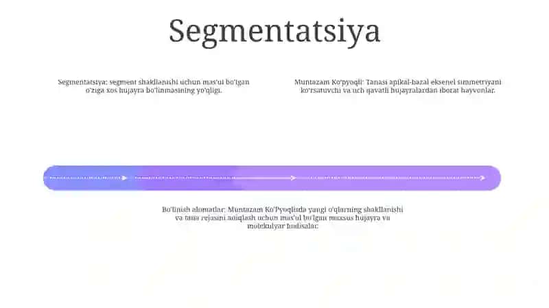 Radial simmetriya 3