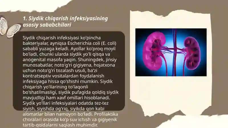 Siydik chiqarish infeksiyasi, etiologiya, patogenezi, klinika, diagnostika, davolash 3