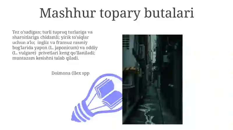 Topiar san'ati uchun manzarali butalar assortimenti 3