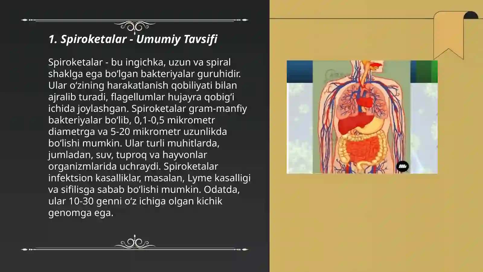 Patogen spiraxetalar va reaksiyalar haqida tushuncha hamda ular keltirib chiqaradigan kasalliklar 3