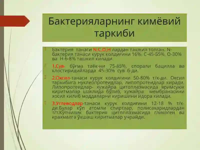 Бактерияларнингфизиологияси 3