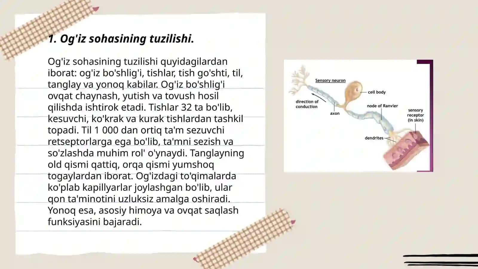 Og’iz sohasining sezuvchi retseptorlari va ularning fiziologik ahamiyati 3