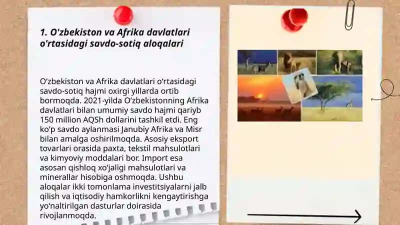 O`zbekiston va Afrika hamkorligi 3
