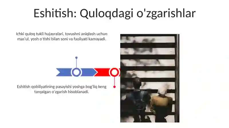 Sensor tizimining yoshga oid retseptorlari 3