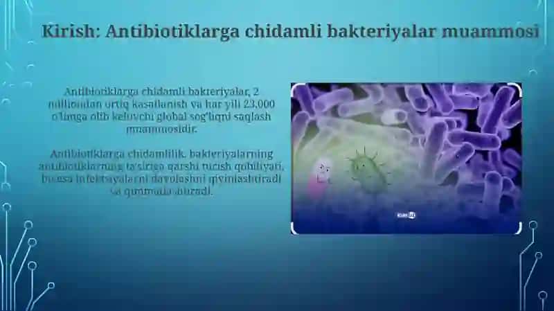 Antibiotiklarga chidamli bakteriyalarning antibiotiklarga chidamli shakllarini paydo bo‘lish mexanizimlari 3