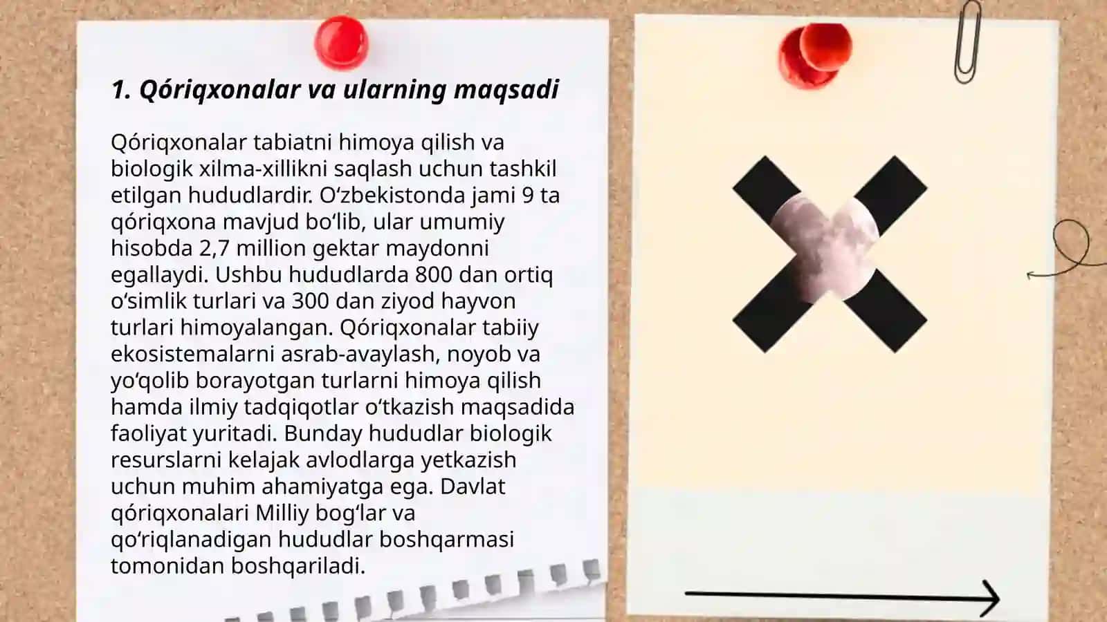 Ósimliklar qoplamini muhofaza qilish 3