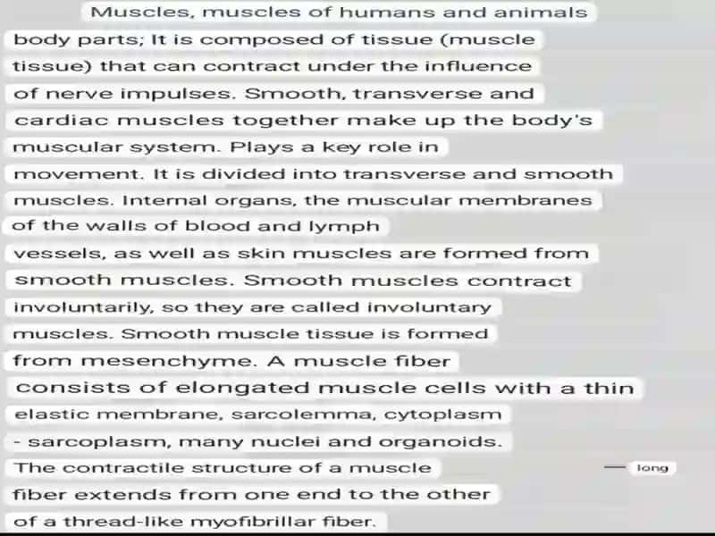 Muscular system of a human being. 3