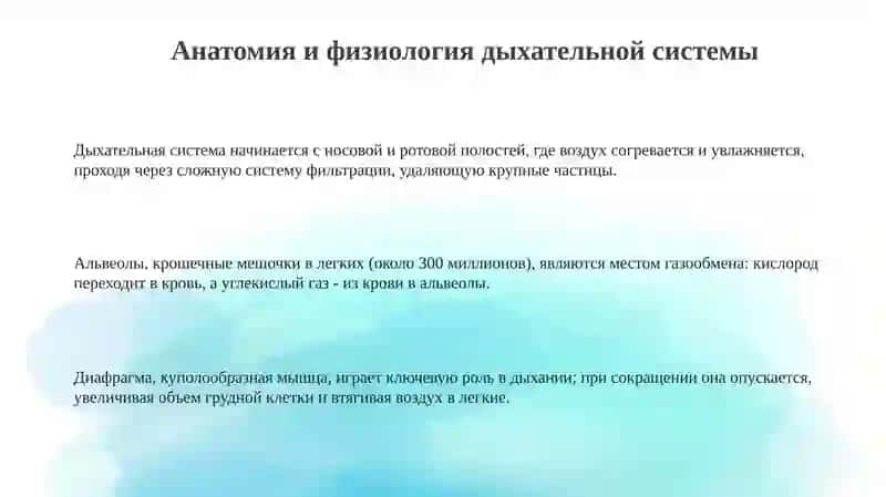 Обзор заболеваний дыхательной системы 3
