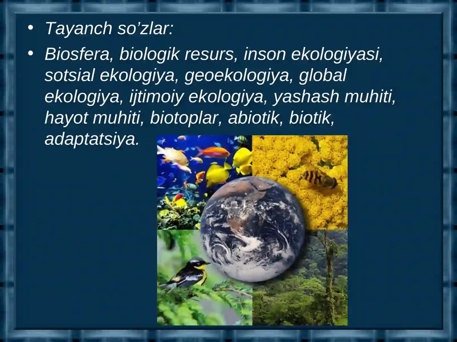 BIOSFERA VA UNING CHEGARALARI 3