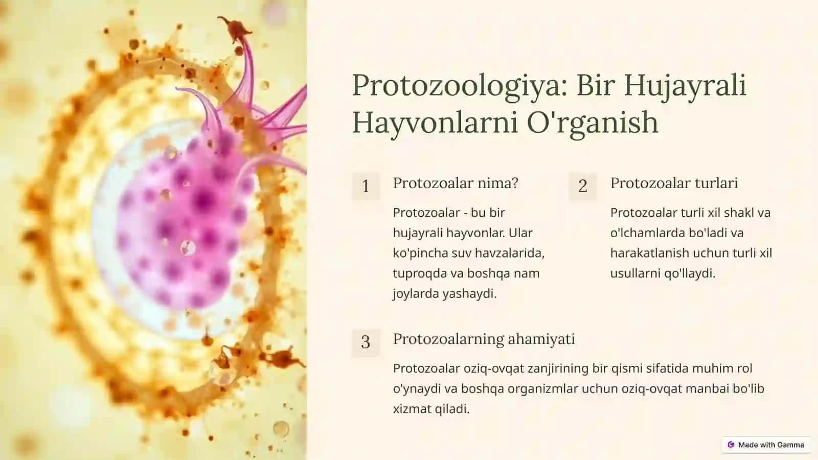 Umurtqasizlar: Hayvonlar Dunyosining Xilma-xilligi 3