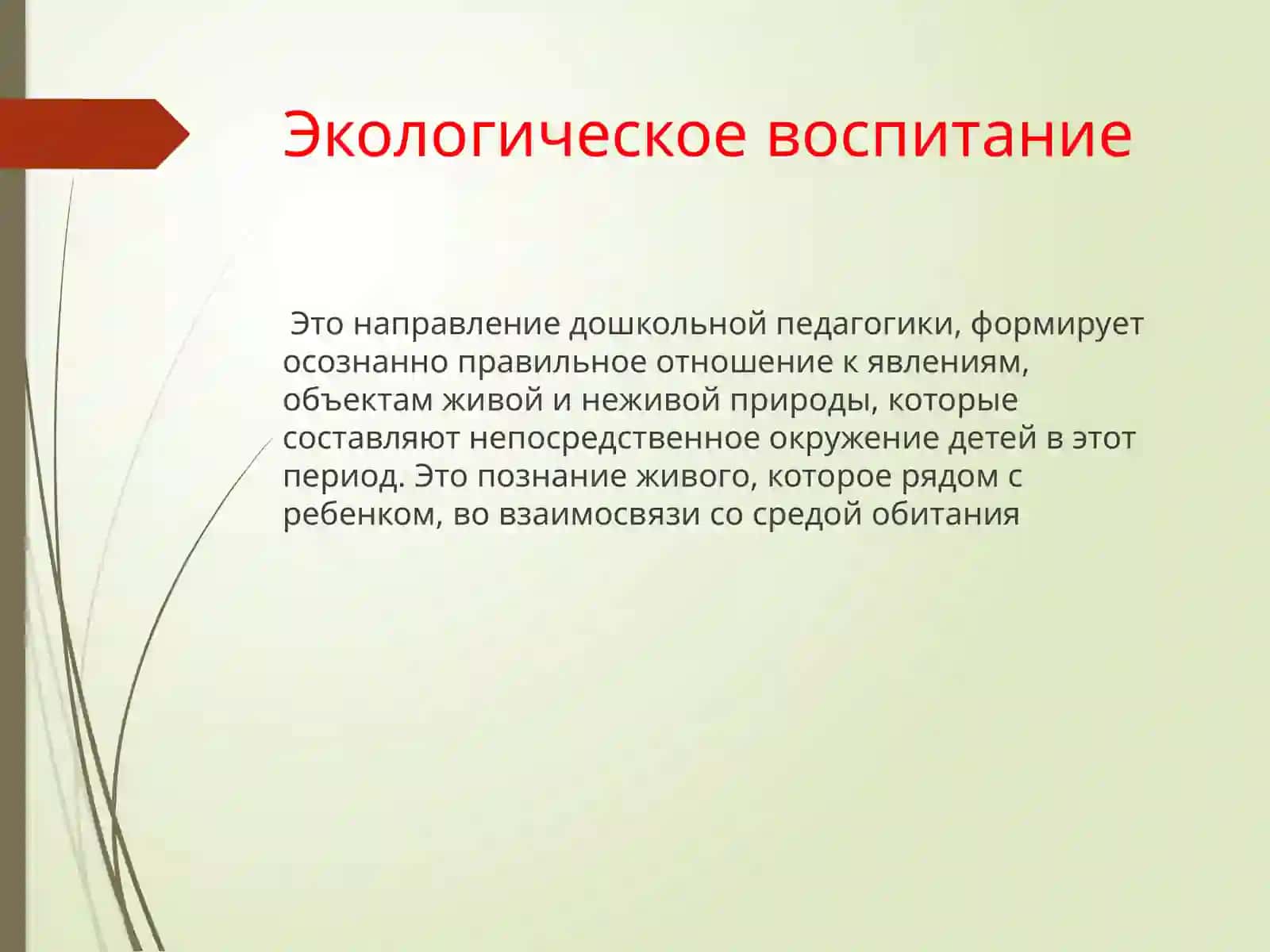 Графическиемодели и моделирующая деятельность в процессе ознакомления детей с природой 3