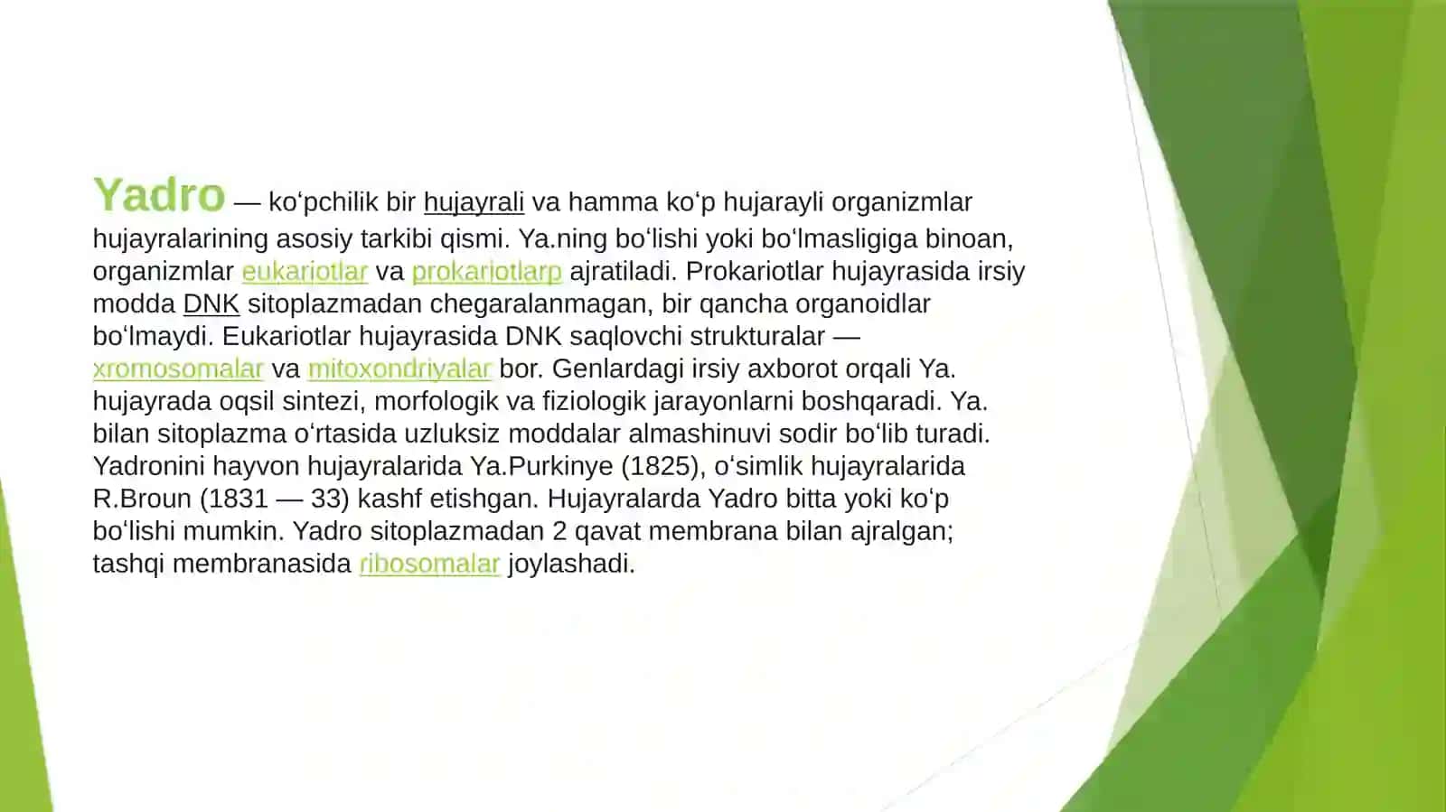 Yadro, xromosomaning tuzilishi va tarkibi 3