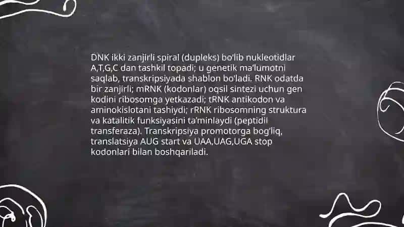 Nuklein kislotalar, oqsil sintezining stimulyator va ingibitorlari 3