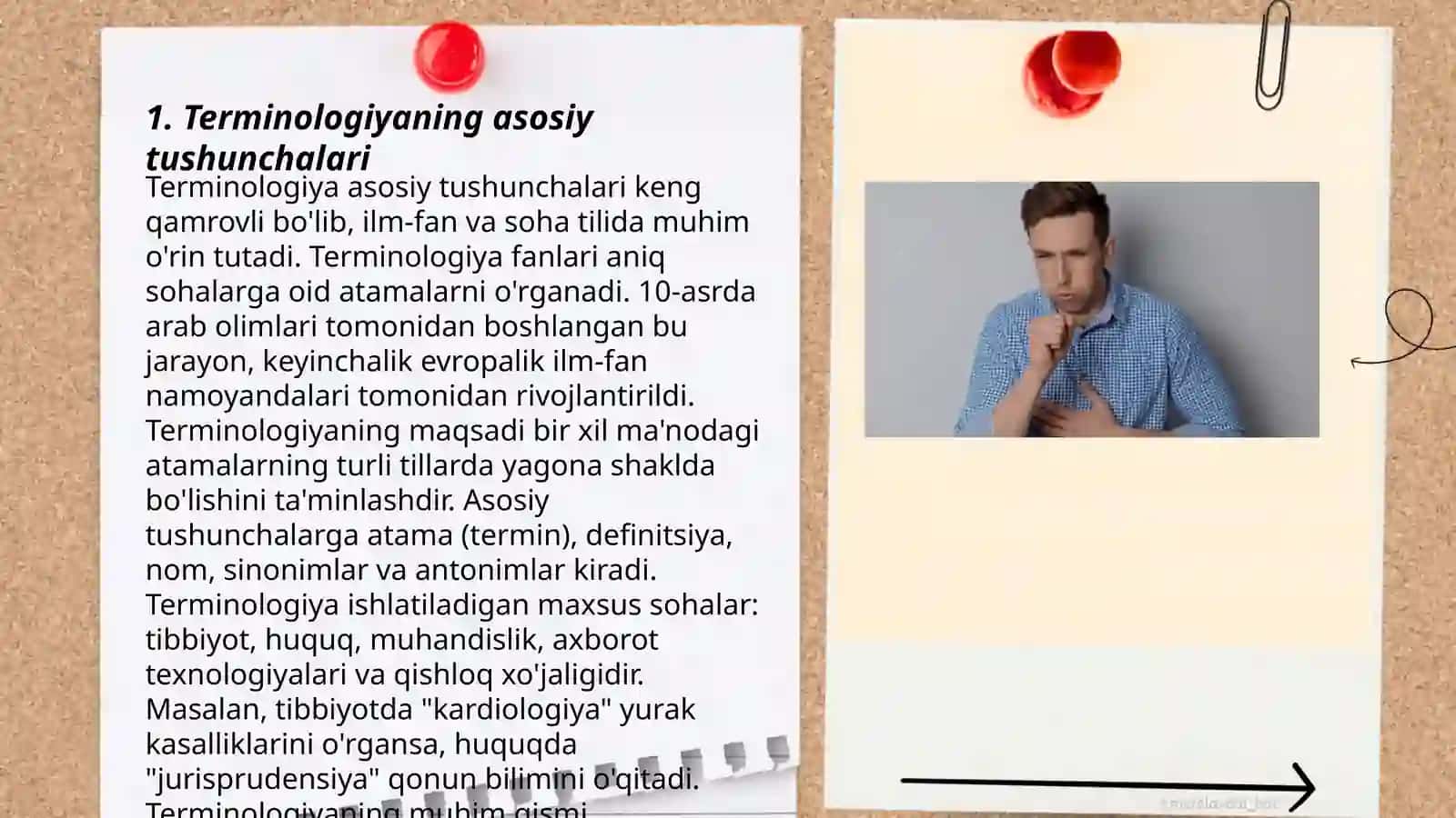 Terminologiya 3