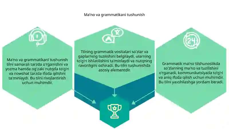Grammatik ma'no. Tilning grammatik vositalari 3