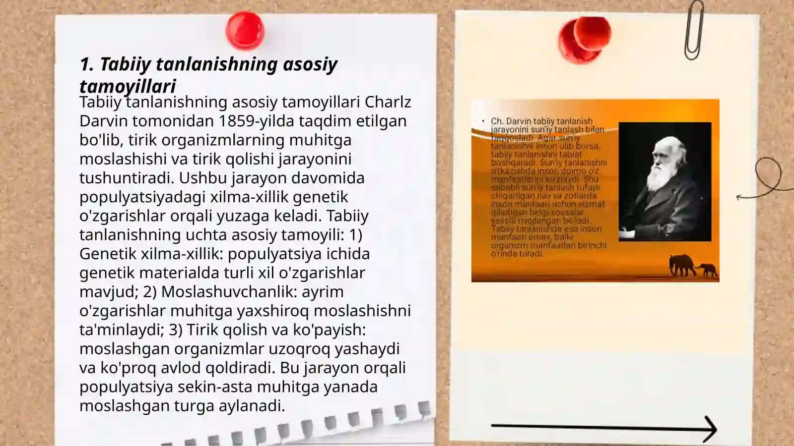 Tabiiy tanlanish. Organik olamdagi moslanishlar – evolyutsiya 3