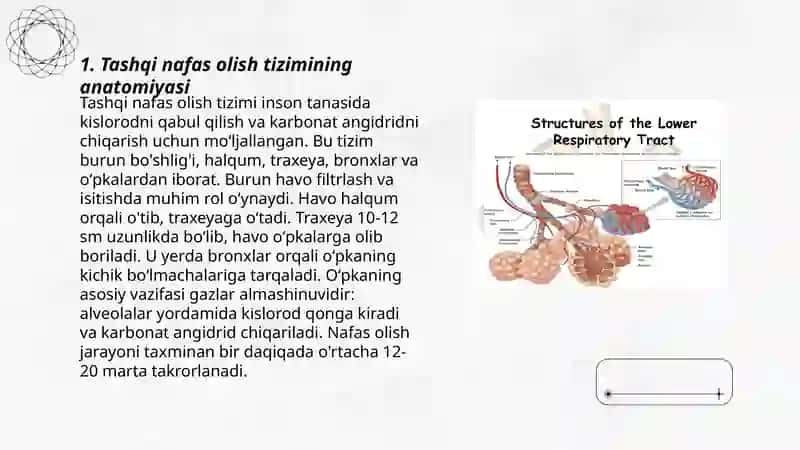 Tashqi nafas funksiyalari. Spirometriya 3