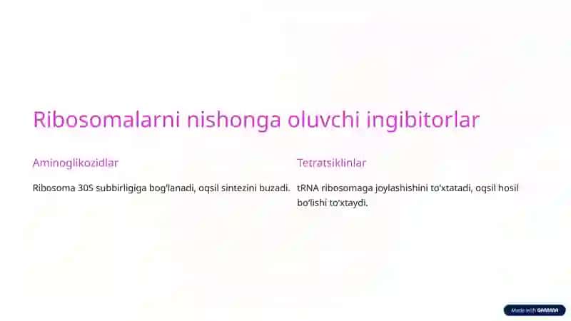 Oqsil biosintezi ingibitorlari 3